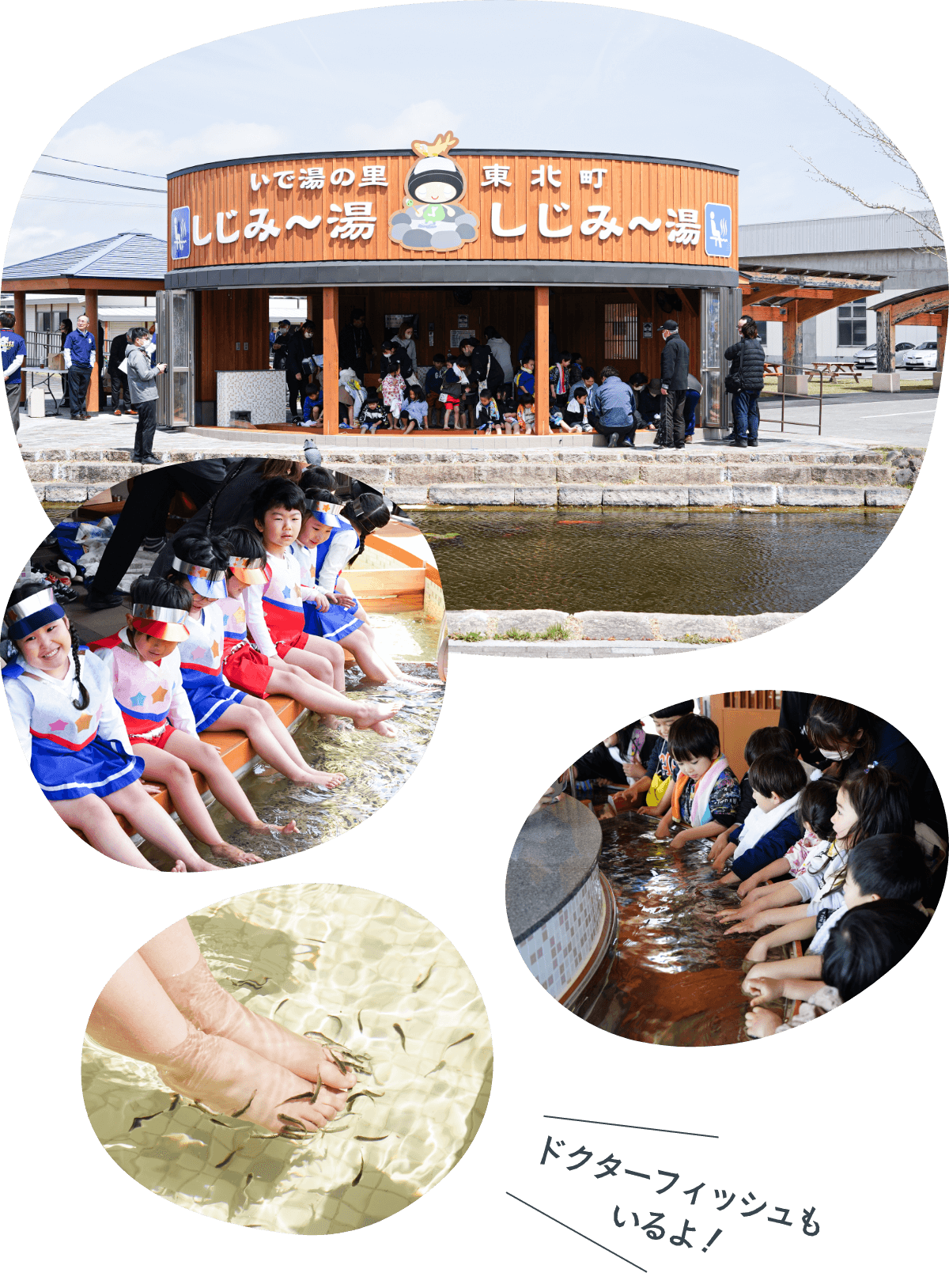 いで湯の里 東北町 しじみ~湯