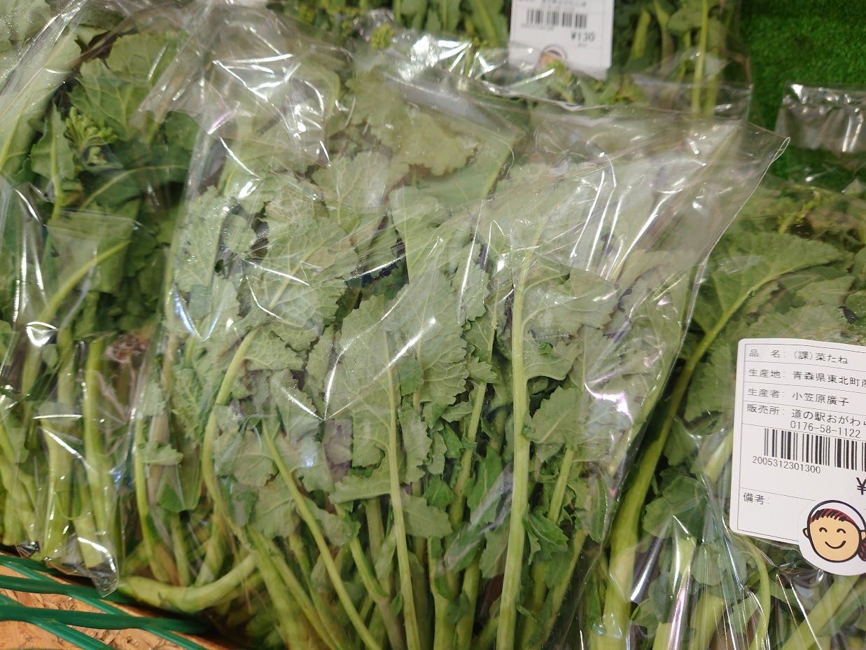 菜たね
